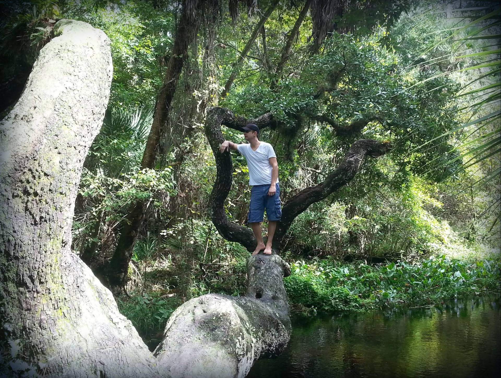Doug Sahr standing on a tree over a river in a lush Florida forest
