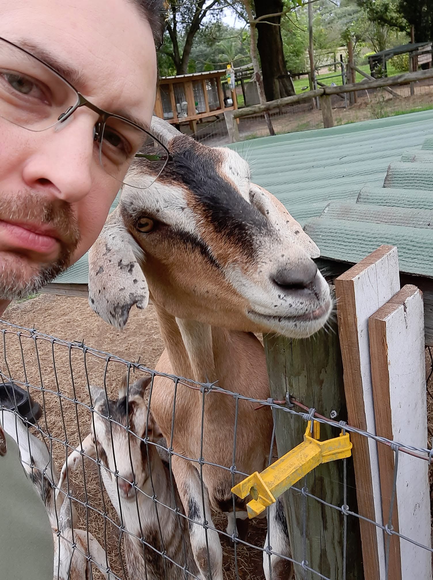 Doug Sahr with a Nubian goat at the fence